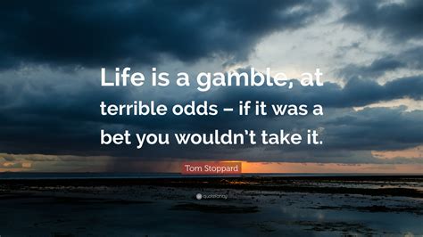 life is a gamble quotes|wise sayings about life.